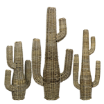 Rattan Cactus (Set of 3)