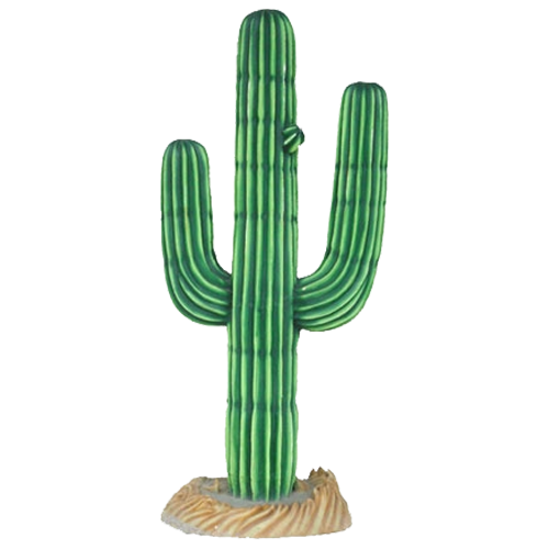 Cactus 6' Tall
