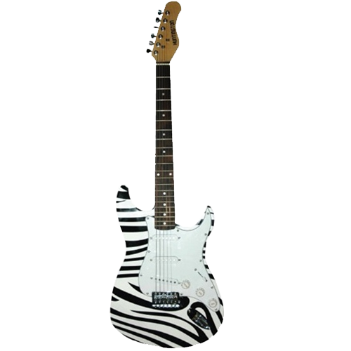 Zebra Striped Guitar