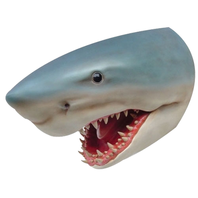 Shark Head