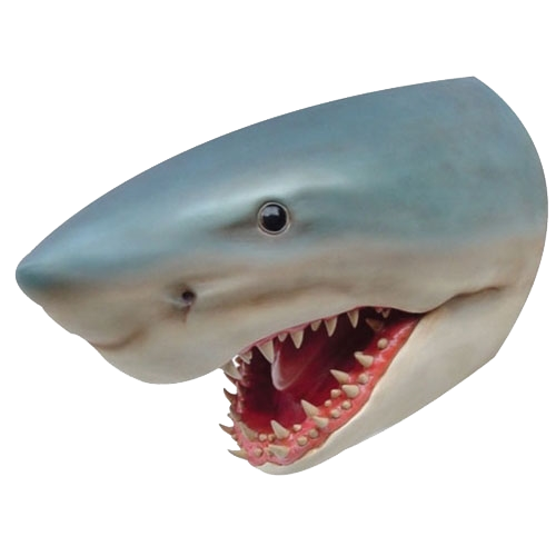 Shark Head