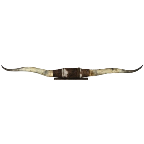 Longhorn Horns
