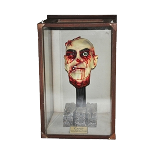 Severed Head in Case