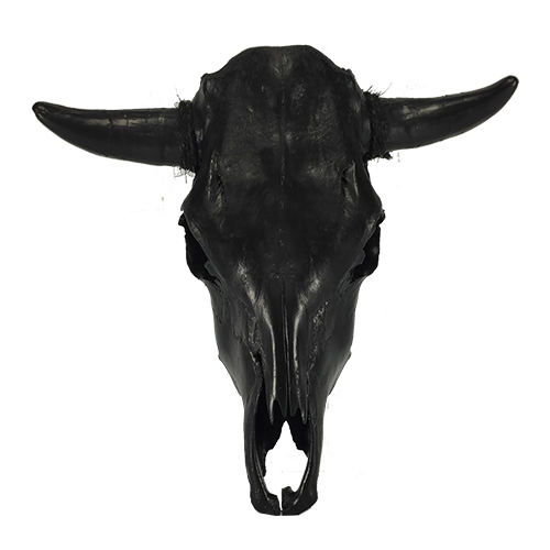 Cow Skull - Black
