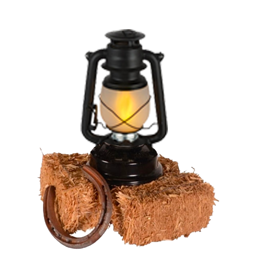 Black Lantern Centerpiece