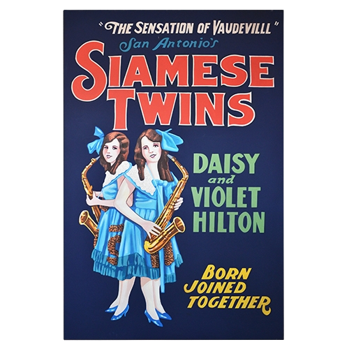 Oversized Vintage Poster - Siamese Twins