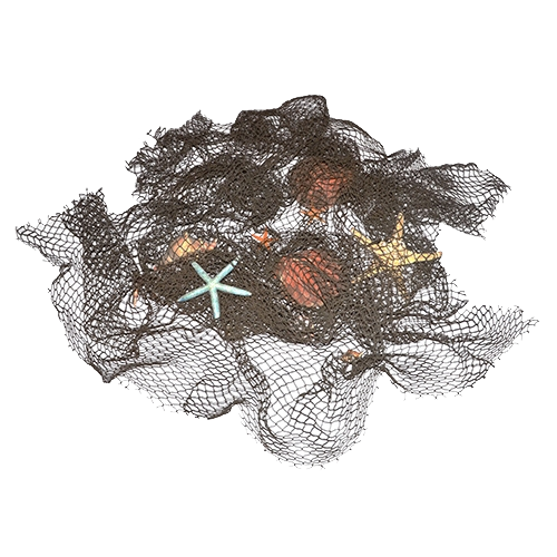 Netting with Sea Shells