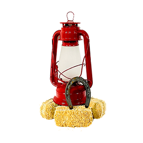 Red Lantern Centerpiece
