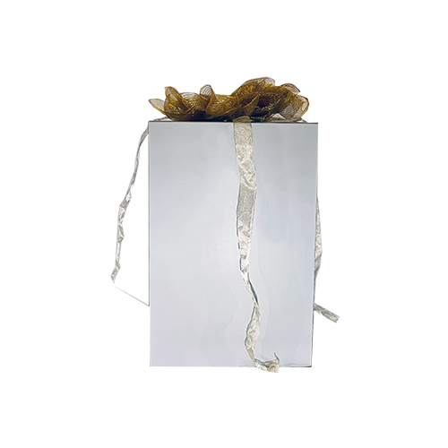 Silver Present 24" x 24" x 36"