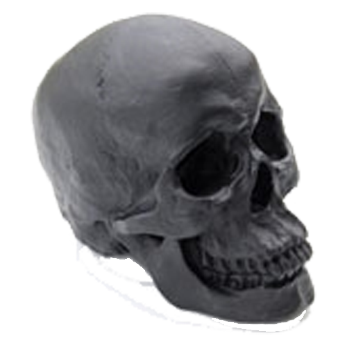 Black Faux Skull