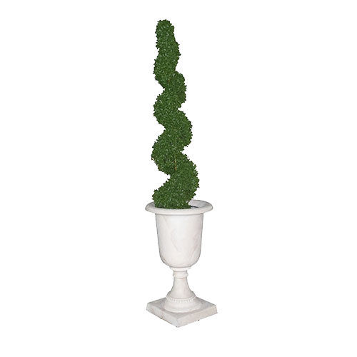 Spiral Topiary in Marble Urn