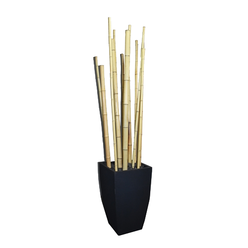 Potted Bamboo Poles