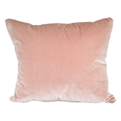 Blush Velvet Pillow