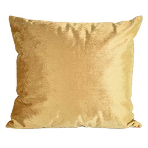 Gold Velvet Pillow