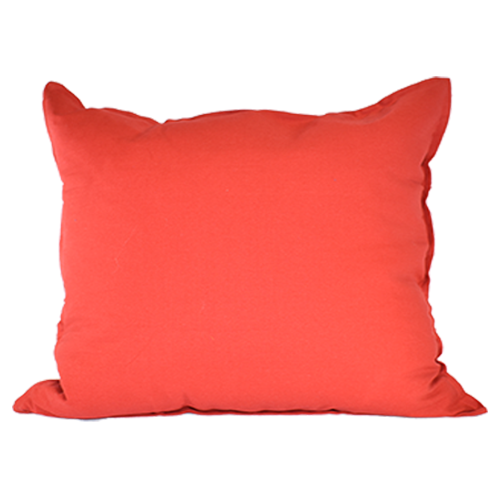 Red Canvas Pillow