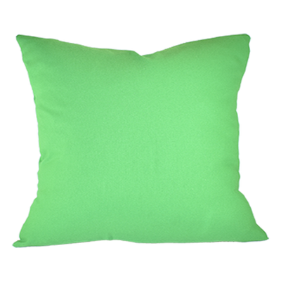 Kelly Green Pillow