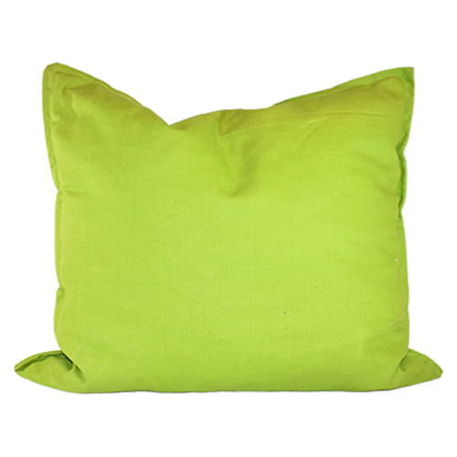 Lime Green Canvas Pillow