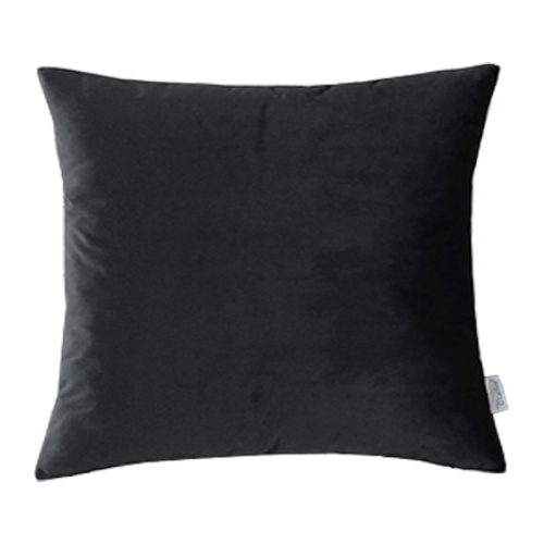 Black Velvet Pillow