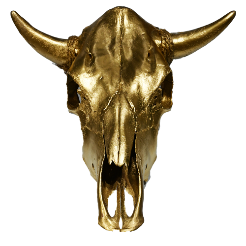 Cow Skull - Gold