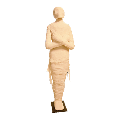 Egyptian  Mummy