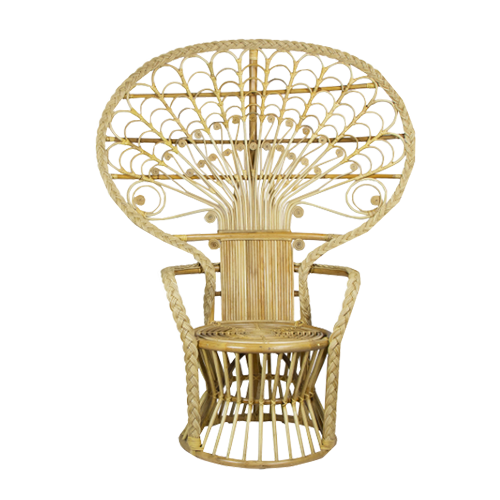 Peacock Chair