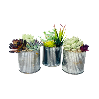 Rustic Faux Mini Succulent Centerpiece Trio (Set of 3)