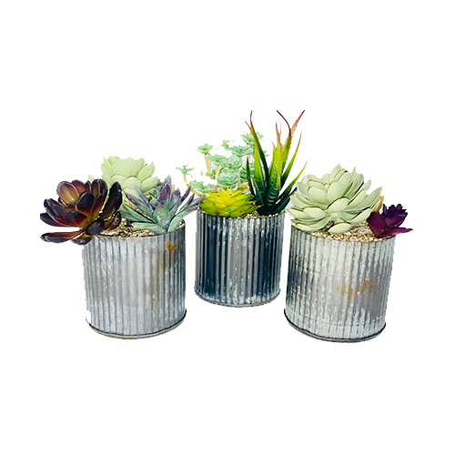 Rustic Faux Mini Succulent Centerpiece Trio (Set of 3)