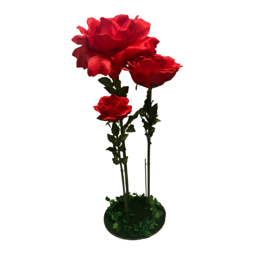 Rose Flower Set - Red