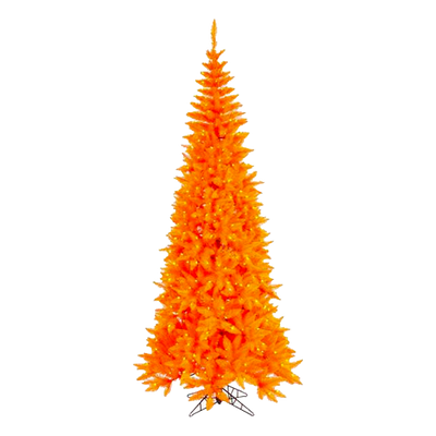 8' Orange Tree