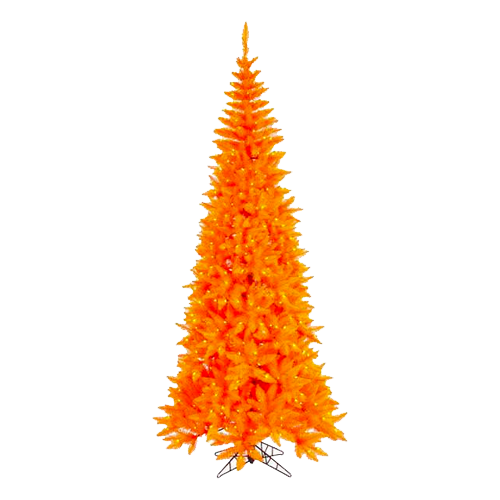 8' Orange Tree