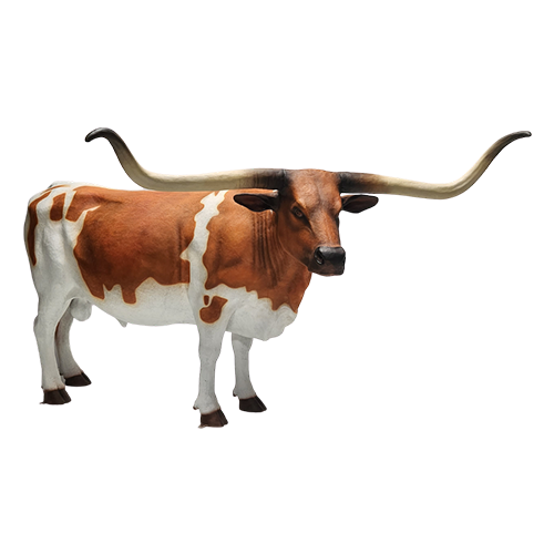 Texas Longhorn Steer