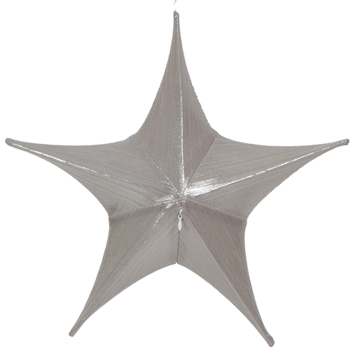 Star - Silver 4.5'