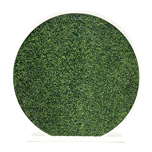 Circle Topiary Wall with Frame