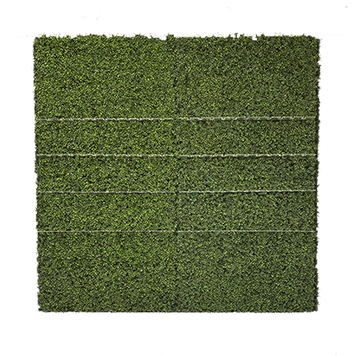 Topiary Champagne Wall