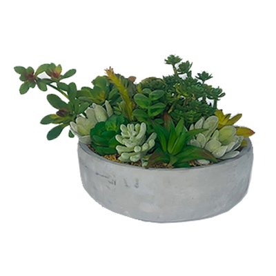 Urban Faux Succulent