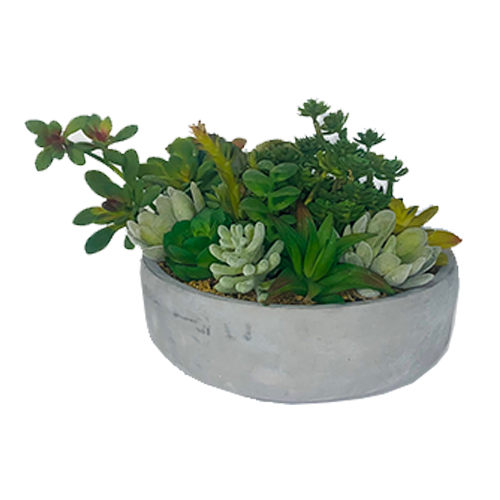 Urban Faux Succulent