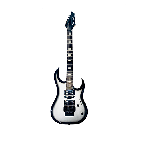 Silver and Black Guitar