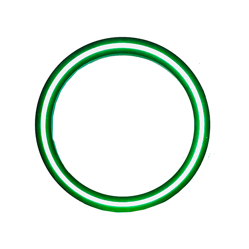 24" LED Neon Ring - Multicolor