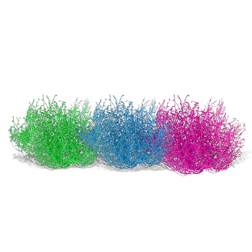 Pop Tumbleweeds (Set of 3)