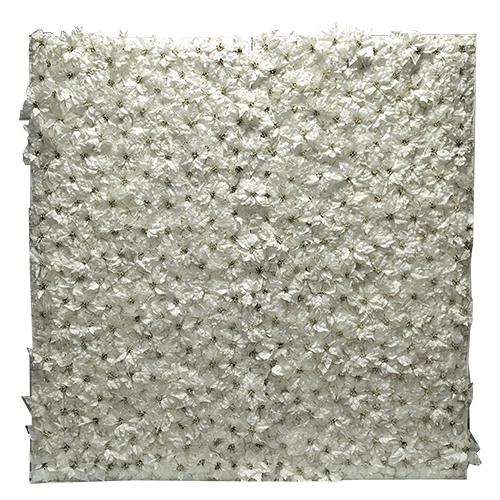 Poinsettia Wall - White