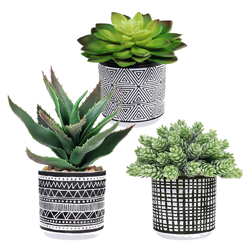 Boho Faux Succulent Trio (Set of 3)