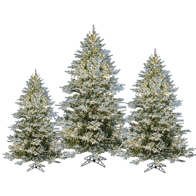 Flocked Lighted Tree Trio (Set of 3)