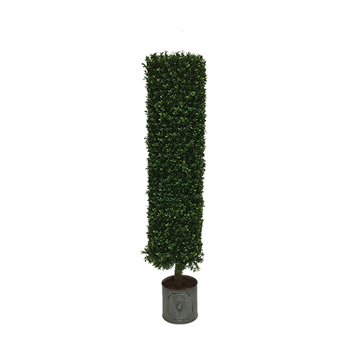 Round Boxwood Topiary Tree