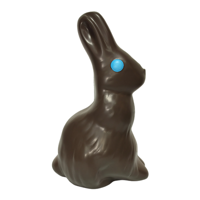 Chocolate Bunny