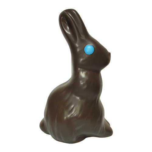 Chocolate Bunny