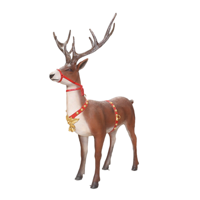 Reindeer