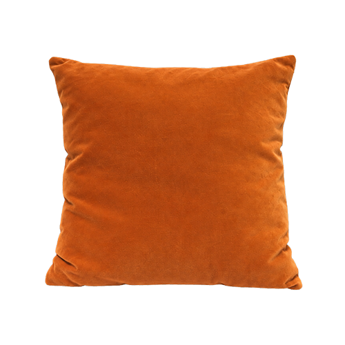 Rust Velvet Pillow