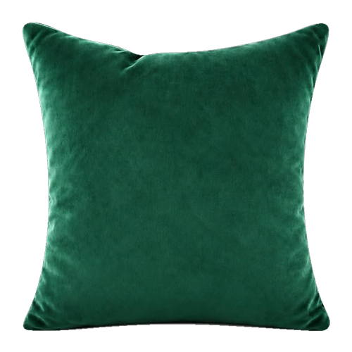 Green Velvet Pillow