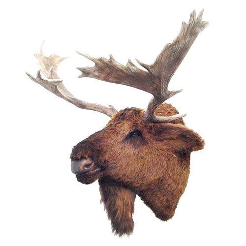 Moose Head Mount Faux