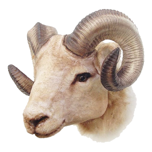 Ram Head Mount Faux